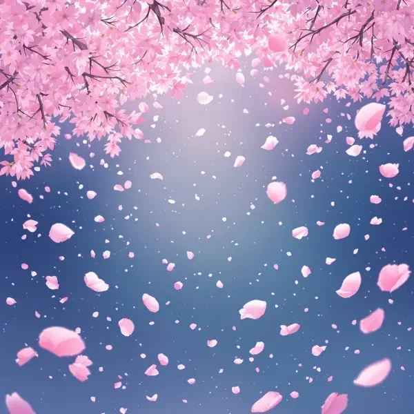 花瓣雨